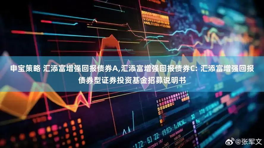 申宝策略 汇添富增强回报债券A,汇添富增强回报债券C: 汇添富增强回报债券型证券投资基金招募说明书